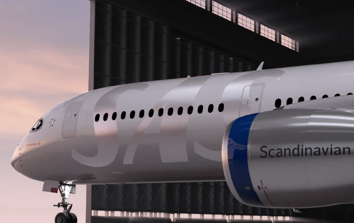 SAS airplane