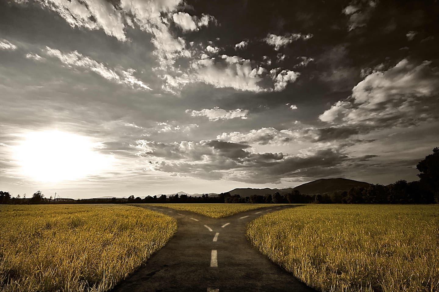 A forked road through golden wheat fields under dramatic cloudy sky with setting sun and distant mountains.